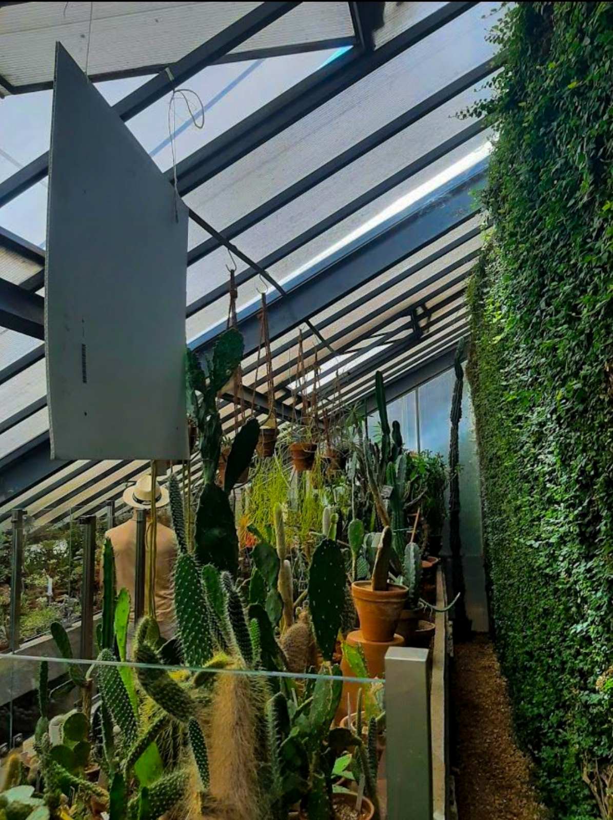 botanical garden, Sofia