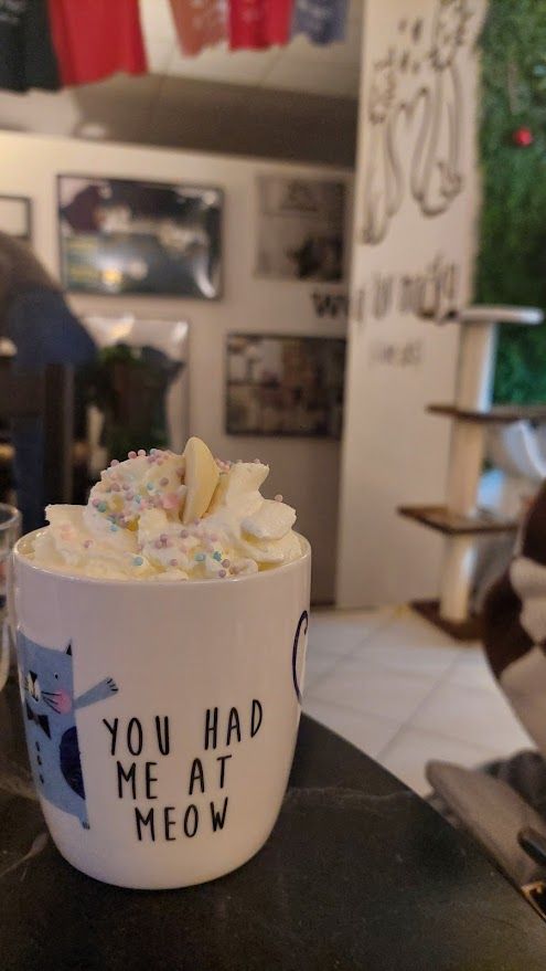 Mačkafé, Bratislava