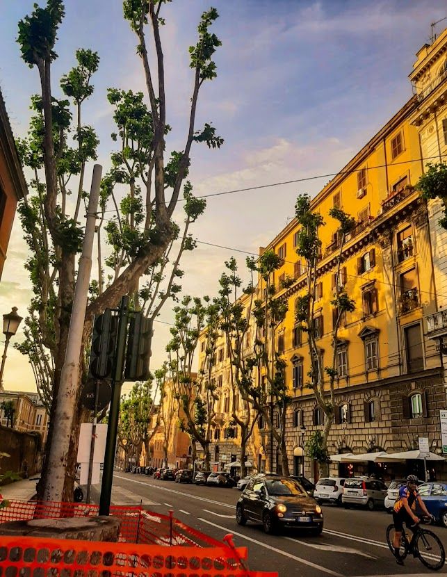 Rome, street, trees