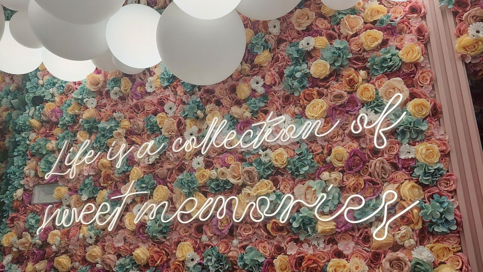 Wonderland Ljubljana