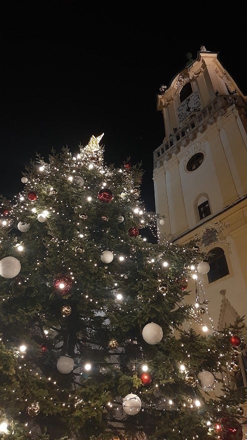 Bratislava, Christmas tree with the Town Hall