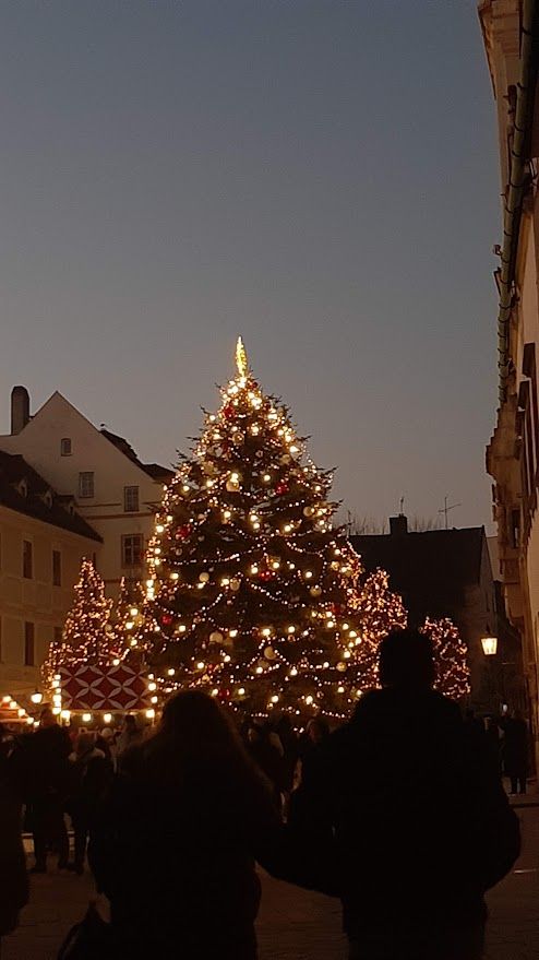 Christmas tree in the centre of Bratislava